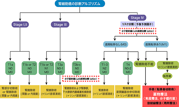 腎細胞がんの診断，治療の手順，流れ　2011（抜粋）